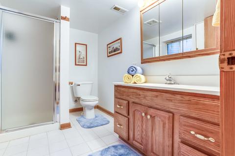 1338 E Thacker St, Schaumburg, IL 60173 photo 29
