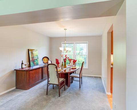 1338 E Thacker St, Schaumburg, IL 60173 photo 7