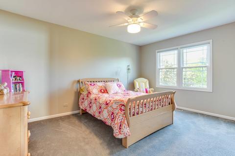 1338 E Thacker St, Schaumburg, IL 60173 photo 24