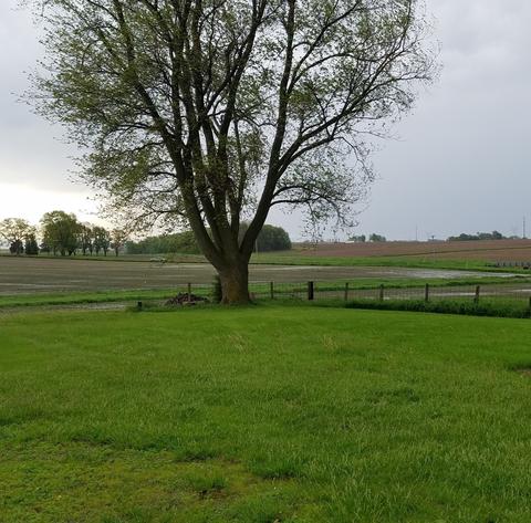 1604 Us Rt 52, Dixon, IL 61021 photo 36