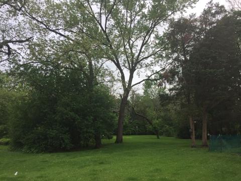 1129 Aurora Way, Wheaton, IL 60189 photo 2