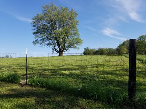 7333 W Il Rt 72, Leaf River, IL 61047 photo 13
