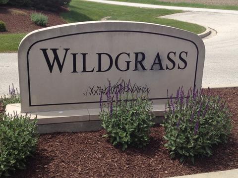 26528 S Wildgrass Turn, Monee, IL 60449 photo 1
