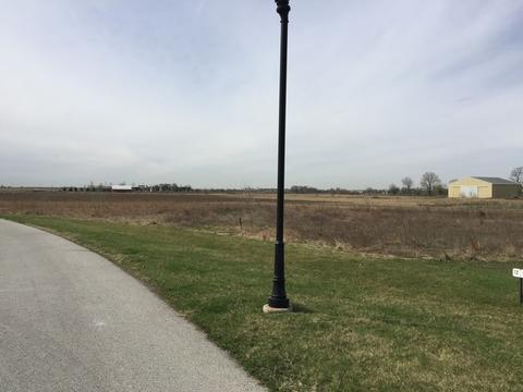 26528 S Wildgrass Turn, Monee, IL 60449 photo 3