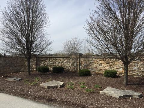 26528 S Wildgrass Turn, Monee, IL 60449 photo 11