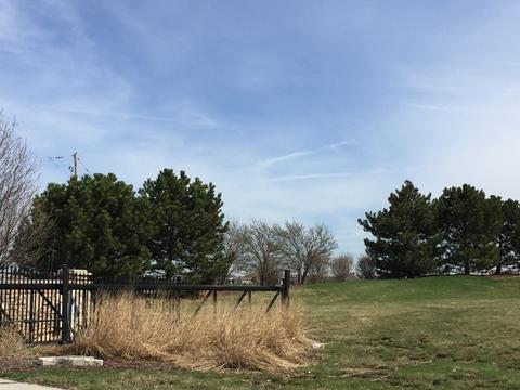 26528 S Wildgrass Turn, Monee, IL 60449 photo 9