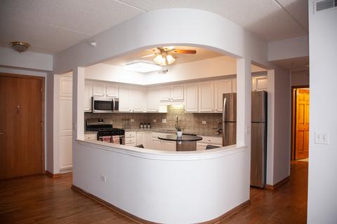 11 S Wille St #407, Mount Prospect, IL 60056 photo 14