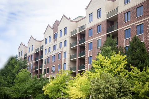 11 S Wille St #407, Mount Prospect, IL 60056 photo 44