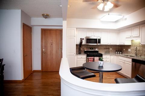 11 S Wille St #407, Mount Prospect, IL 60056 photo 13