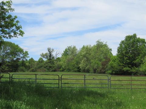 7309 Ryan Rd, Harvard, IL 60033 photo 19
