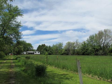 7309 Ryan Rd, Harvard, IL 60033 photo 23