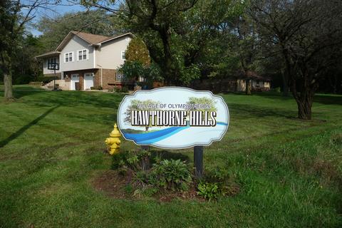 785 Cumnock Rd, Olympia Fields, IL 60461 photo 30
