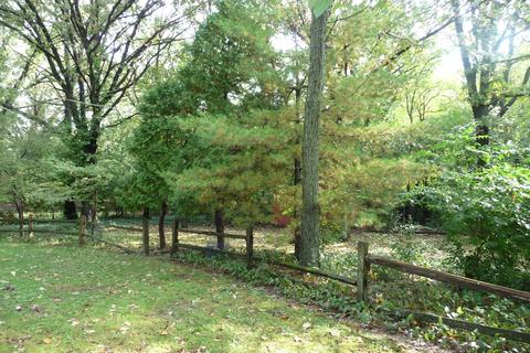 785 Cumnock Rd, Olympia Fields, IL 60461 photo 10