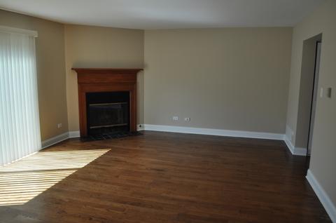 4587 Olmstead Dr, Hoffman Estates, IL 60192 photo 10