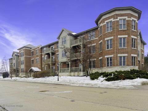 271 E Railroad Ave #107, Bartlett, IL 60103 photo 1