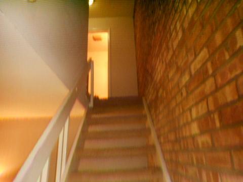 321 Donna Ct #B, Bartlett, IL 60103 photo 4