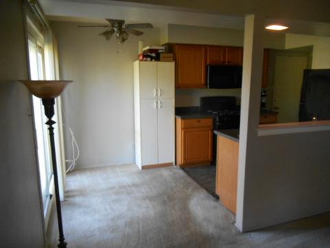321 Donna Ct #B, Bartlett, IL 60103 photo 3