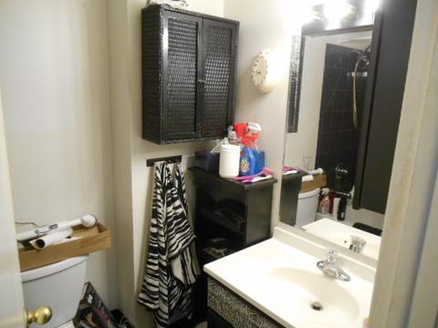 321 Donna Ct #B, Bartlett, IL 60103 photo 13