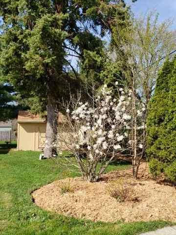 1218 Shuler St, Elgin, IL 60123 photo 42