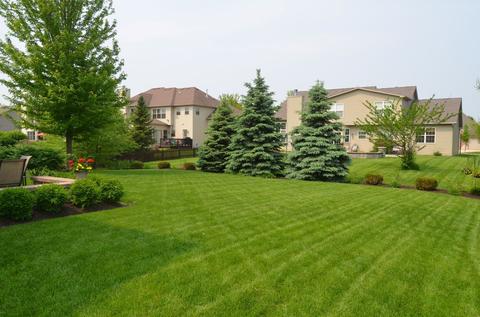26422 Silverleaf Dr, Plainfield, IL 60585 photo 2