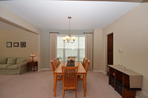 26422 Silverleaf Dr, Plainfield, IL 60585 photo 33