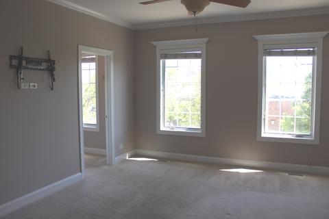 132 Kimball St, Elgin, IL 60120 photo 18