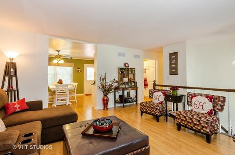10 Robey St, Elgin, IL 60123 photo 4