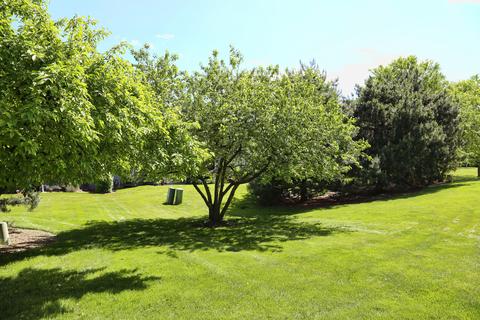 1383 Grandview Ct, Algonquin, IL 60102 photo 17