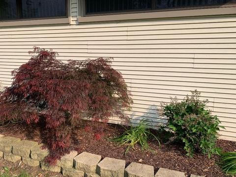 870 W Walnut St, Kankakee, IL 60901 photo 23