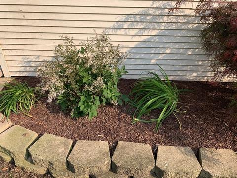 870 W Walnut St, Kankakee, IL 60901 photo 22