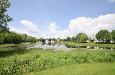 1652 Cayman Ct #4, Bartlett, IL 60103 photo 12