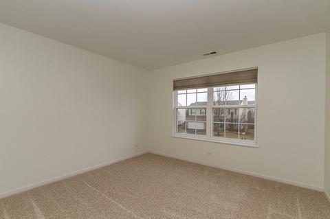 319 Gregory M Sears Dr, Gilberts, IL 60136 photo 24