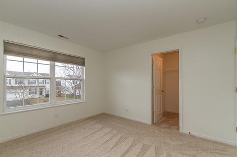 319 Gregory M Sears Dr, Gilberts, IL 60136 photo 25