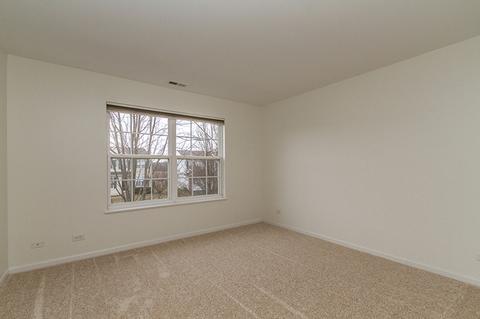 319 Gregory M Sears Dr, Gilberts, IL 60136 photo 27