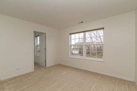 319 Gregory M Sears Dr, Gilberts, IL 60136 photo 28
