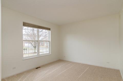 319 Gregory M Sears Dr, Gilberts, IL 60136 photo 14
