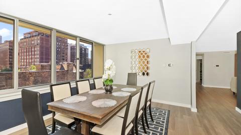 1 E Schiller St #7D, Chicago, IL 60610 photo 11