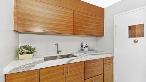 1 E Schiller St #7D, Chicago, IL 60610 photo 16