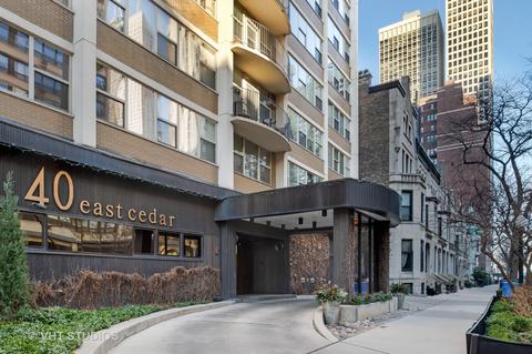 40 E Cedar St #19B, Chicago, IL 60611 photo 1