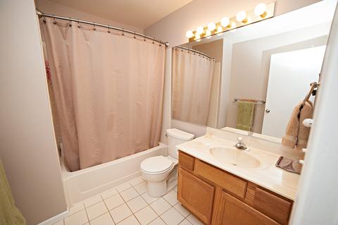 4565 Burnham Dr, Hoffman Estates, IL 60192 photo 22