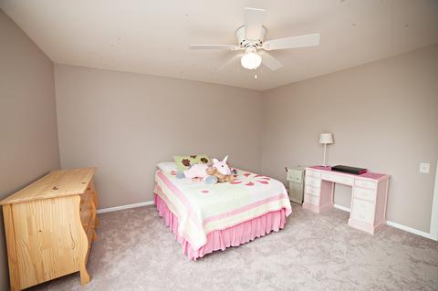 4565 Burnham Dr, Hoffman Estates, IL 60192 photo 20