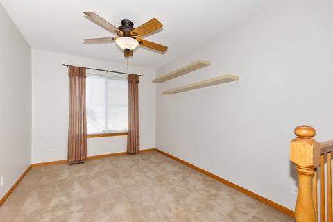 24445 John Adams Dr, Plainfield, IL 60544 photo 11
