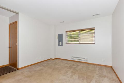 24445 John Adams Dr, Plainfield, IL 60544 photo 13