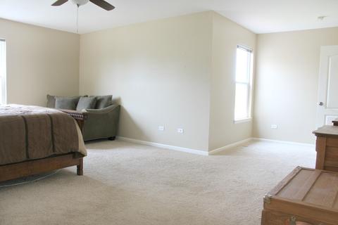 1156 Griffith Ave, Elburn, IL 60119 photo 17