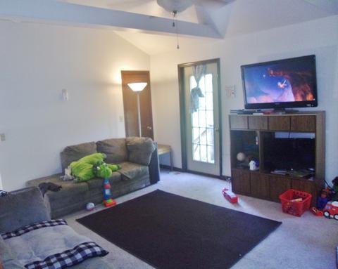 25945 S Oak Rd, Monee, IL 60449 photo 7