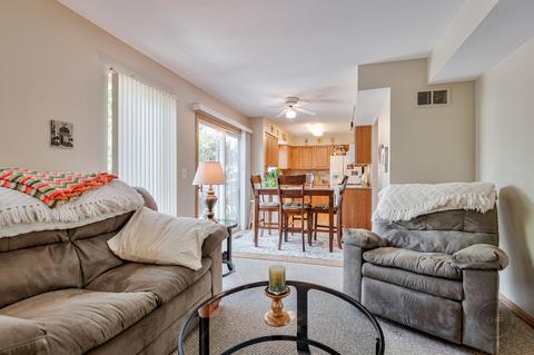 21844 W Judith Ct, Plainfield, IL 60544 photo 12