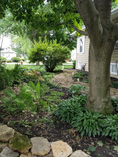24 W Maple Ave, Roselle, IL 60172 photo 19