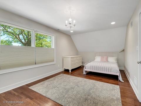 247 E 3rd St, Elmhurst, IL 60126 photo 15