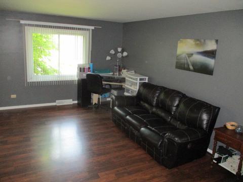 3307 Florence Ave, Steger, IL 60475 photo 3
