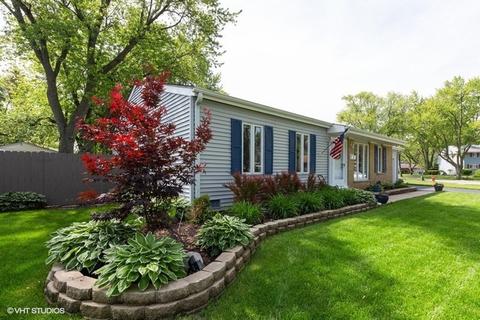 25 Birch Trl, Wheeling, IL 60090 photo 2